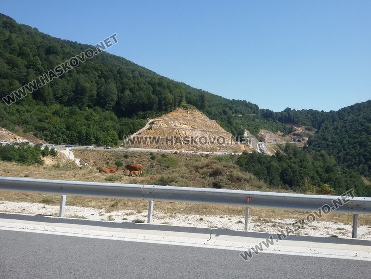 Безкрайна опашка в Гръцко