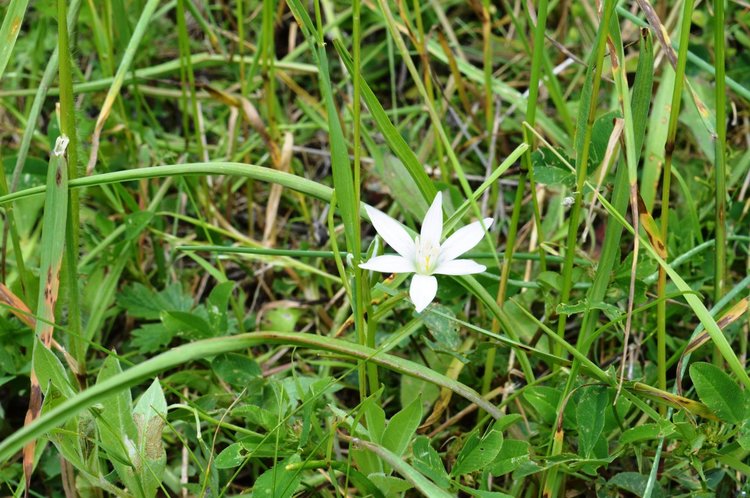 Слънчево време, ще духа слаб вятър от юг