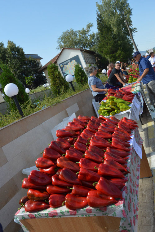 Политиците ни се отчетоха пред кирковчани,събраха се на Фестивала на чушката