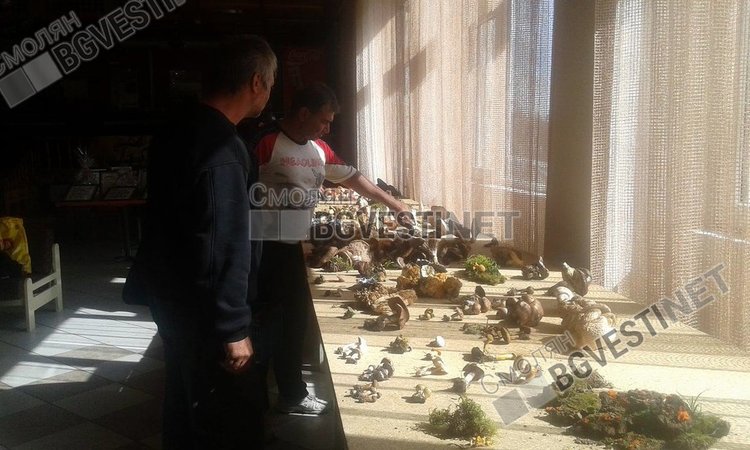 8 килограма гъби забърка в специална чорба шеф Стела Гълъбова