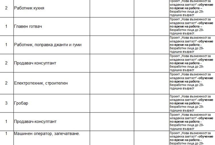 Глад за преподаватели на трудовата борса в Димитровград