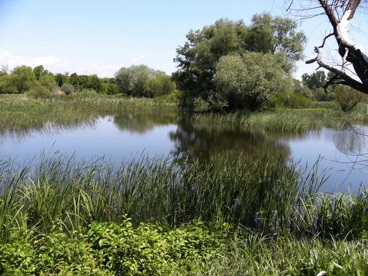 Популяризират биоразнообразието в региона с дегустация на рибена чорба 