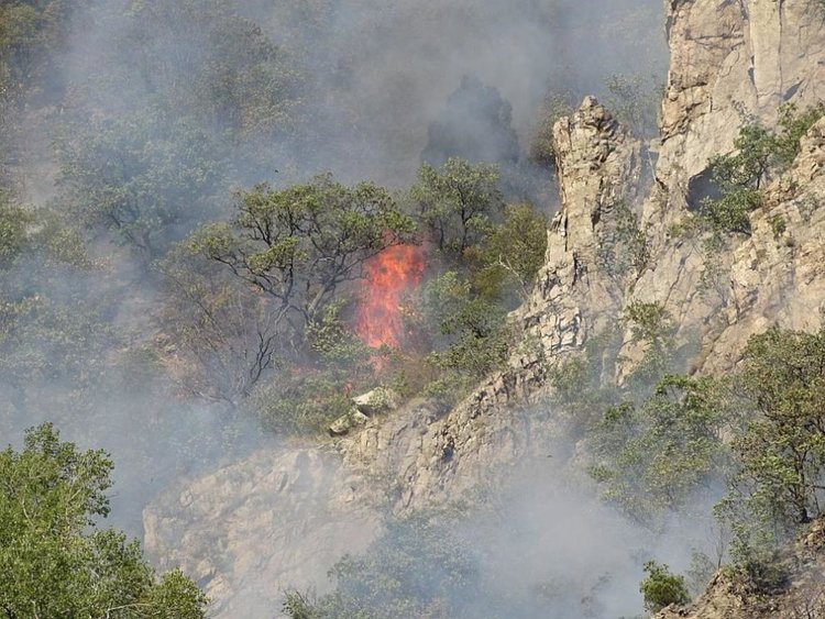 Кметът на Кресна се обърна с молба към жителите на Първомай