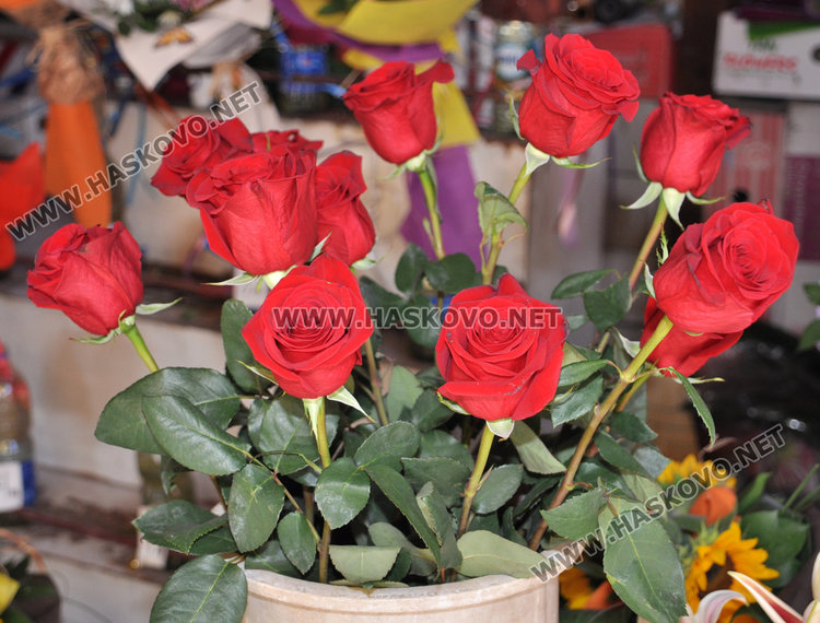 Вял интерес към цветята за училище, хасковлии даряват за болни деца