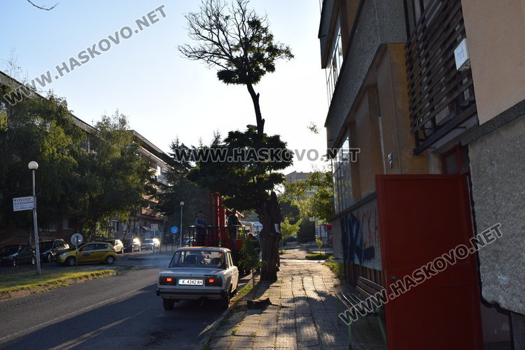 Паркирани коли възпрепятстват отстраняването на опасни клони, от ОЧБ искат съдействие на гражданите