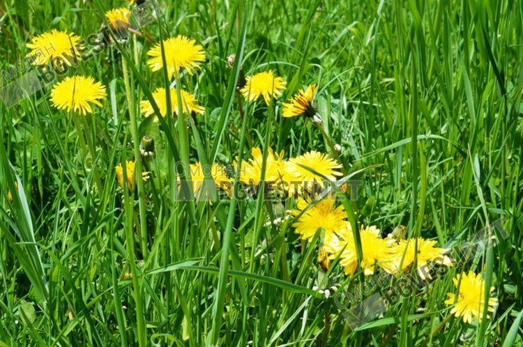 Отново много слънце обещават синоптиците за днес