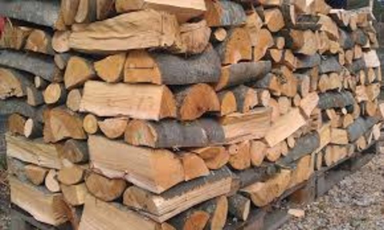 Съветник от ГЕРБ: Политиката с дървата за огрев е патент на ДПС!