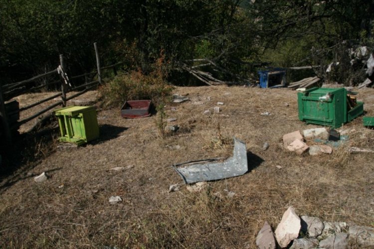 Мечка разгроми пчелин край Женда