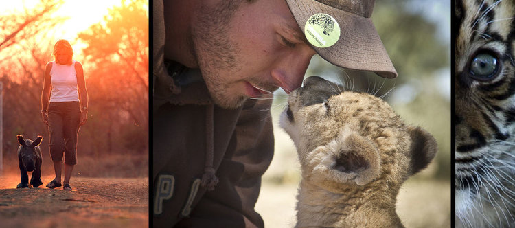 Целодневен маратон по VIASAT NATURE в „Световния ден на животните“