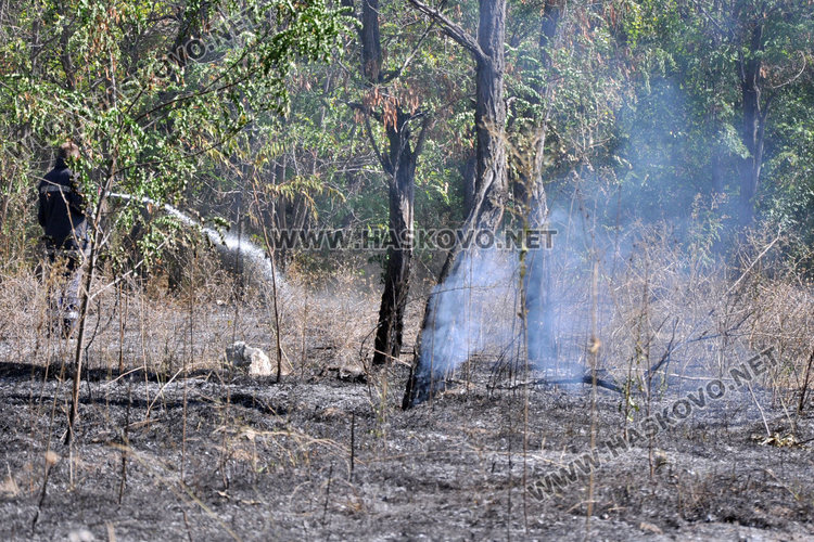 Кенана пламна край „Фантазия“, втори път за два дни
