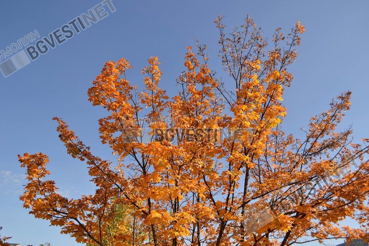 Топло, септемврийско и неделно