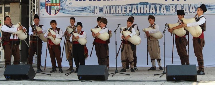 Гайдари от Девин