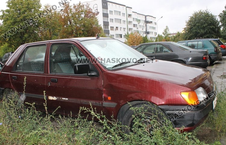 Комисия установи 91 стари коли в Димитровград