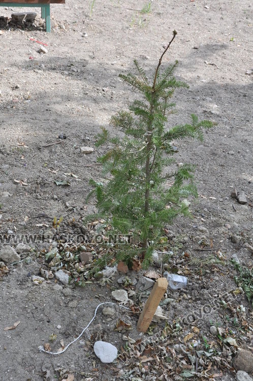 Училище „Рилски“ пропадна в дъжда дни след ремонта