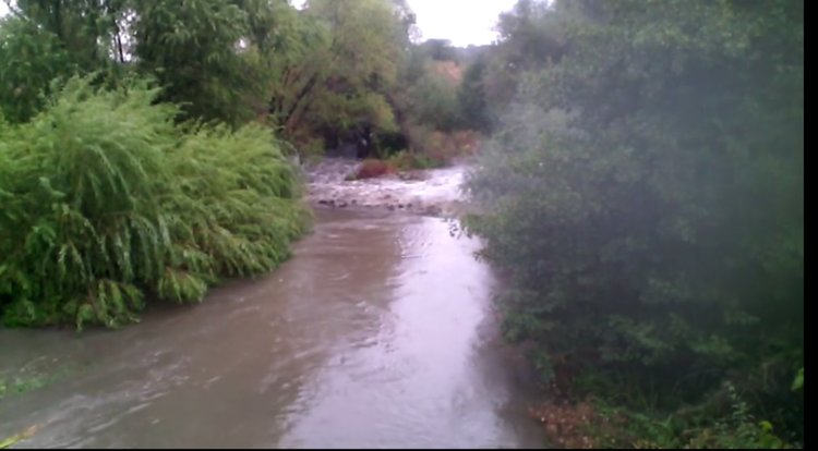 Валежите вдигнаха нивото на Марица до Първомай