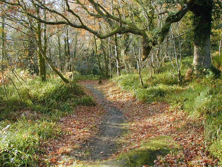 Октомври идва със застудяване и циганско лято