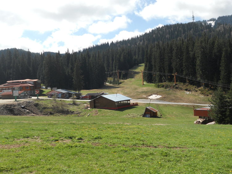 снимката е илюстративна