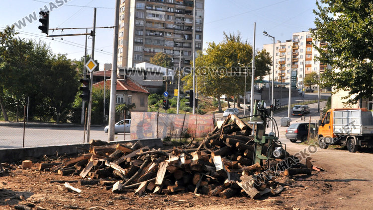 Криза за дърва в Хасково, складове пуснаха кепенци