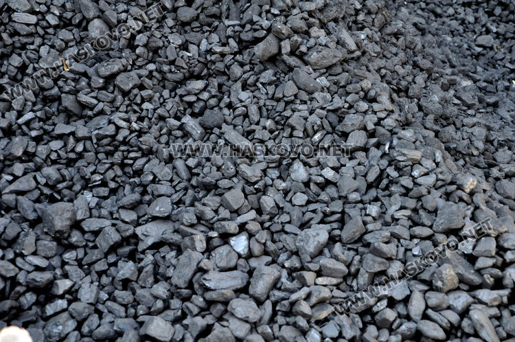 Криза за дърва в Хасково, складове пуснаха кепенци