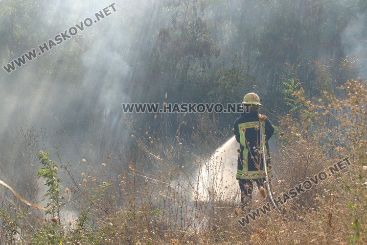 Три пожара гасиха огнеборците в димитровградско