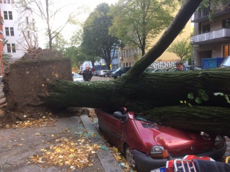 Германия: Ураганната буря Хавиер взе 7 живота и спря влаковете