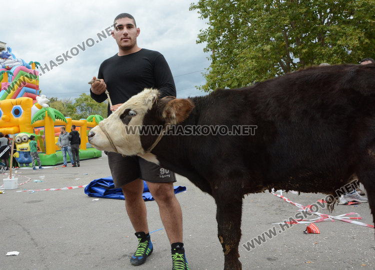 Станка Златева със златен пояс и теле от турнира по борба в Симеоновград
