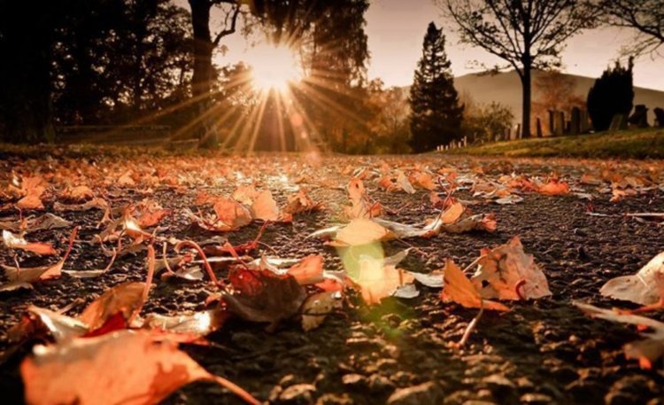 Слънчева, но ветровита неделя