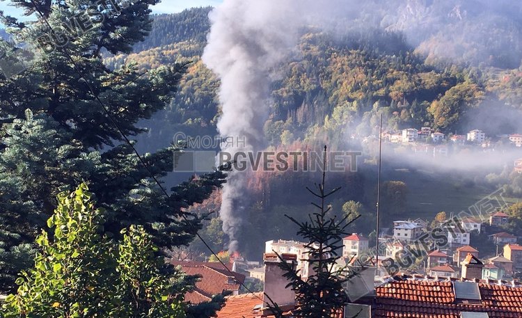 Пожар гори в магазин в Смолян 