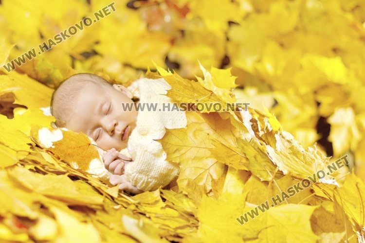 20 октомврийски градуса ни носи есента днес