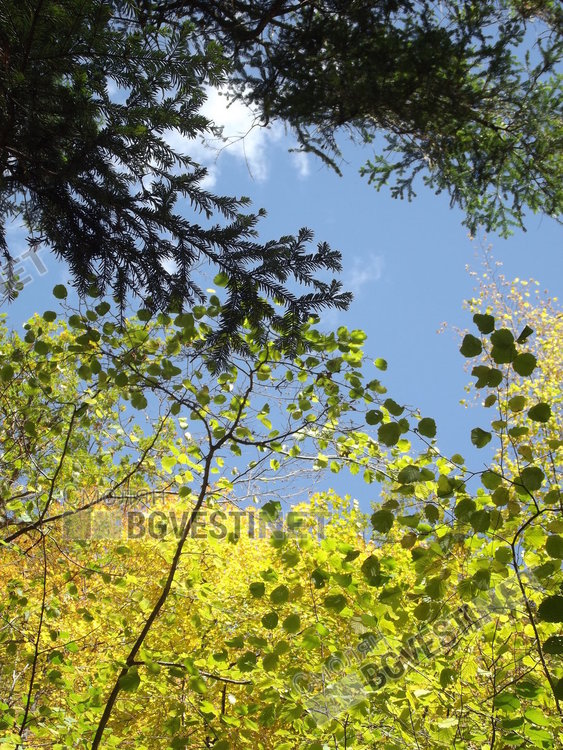 Слънчев петък, до къде ще стигнат градусите