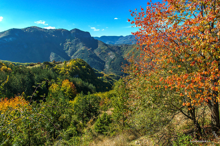 Топъл и слънчев неделен ден