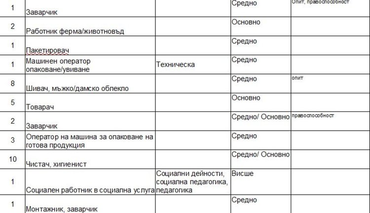 Свободно място за социален работник обявиха в Димитровград