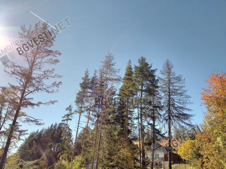 Днешният ден е от най-топлите през октомври