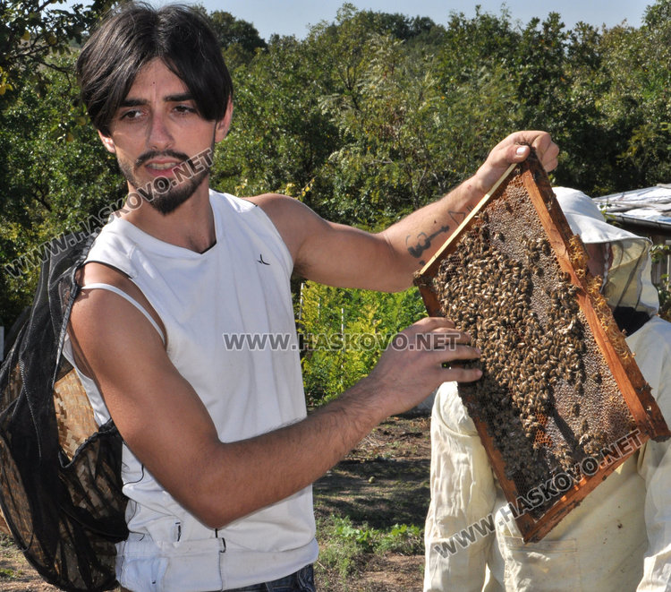 Англичанин изучава тайните на пчеларството в Хасково