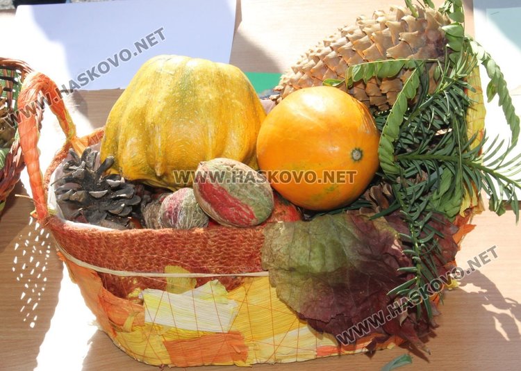 Славейковци набраха за лечението на Габи 7 011 лв.