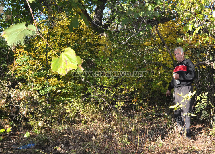 Трилевки се изливат на воля в Кенана