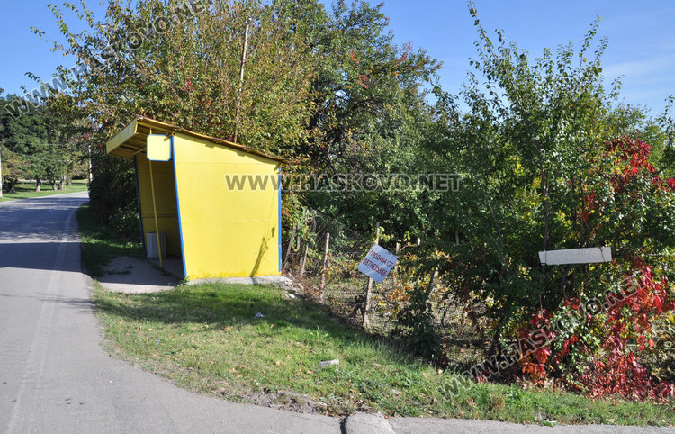 Трилевки се изливат на воля в Кенана