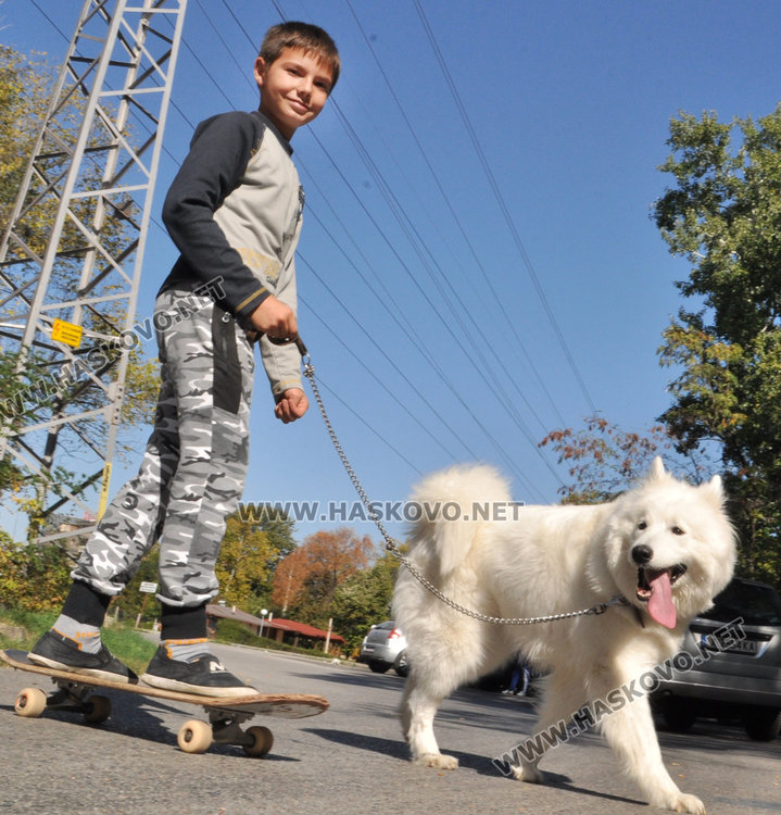 Хасковлии събраха слънчеви лъчи в последните топли дни