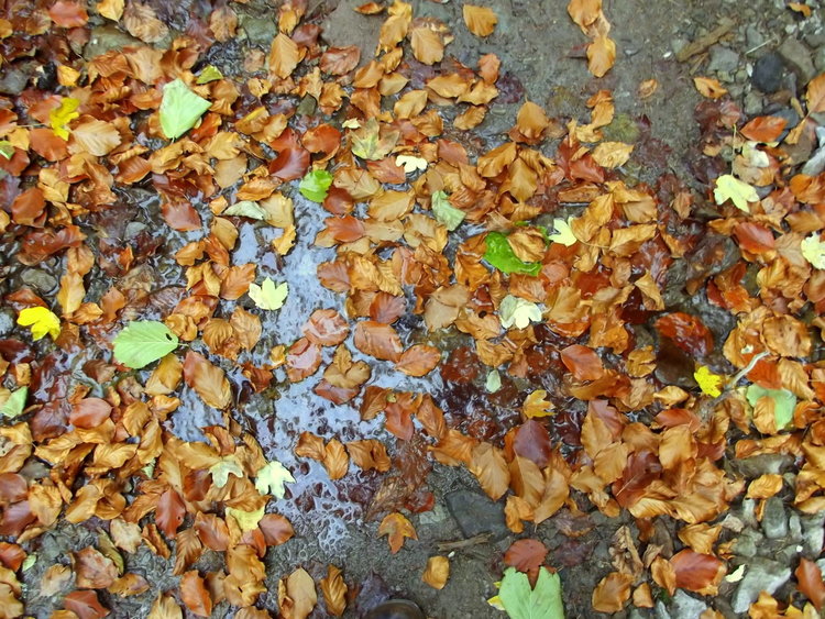 Днешният 23 октомври: яке, чадър и още нещо