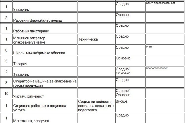 На борсата в Димитровград търсят още социален работник и декоратори на торти