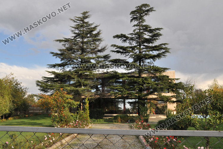 Хасковлийка катастрофира с джип на път към горящата си къща