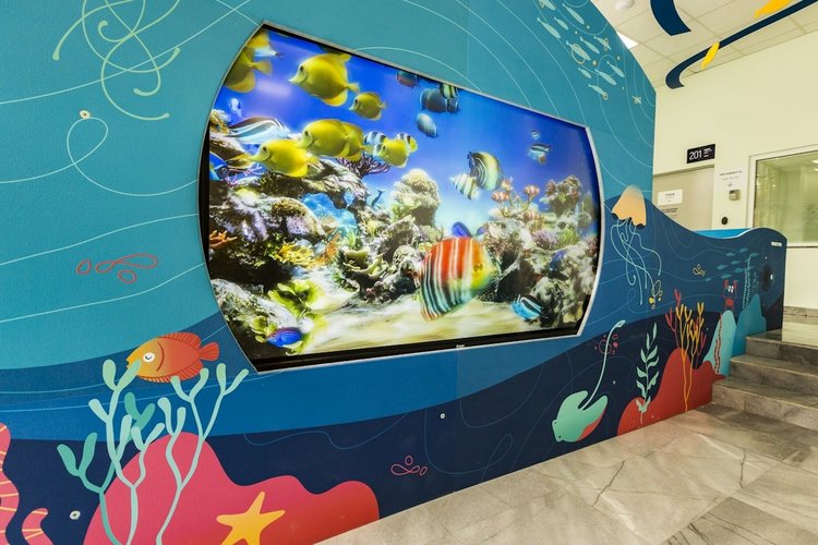 „Малките герои“ преобразиха детското отделение на "Пирогов" в приказна среда