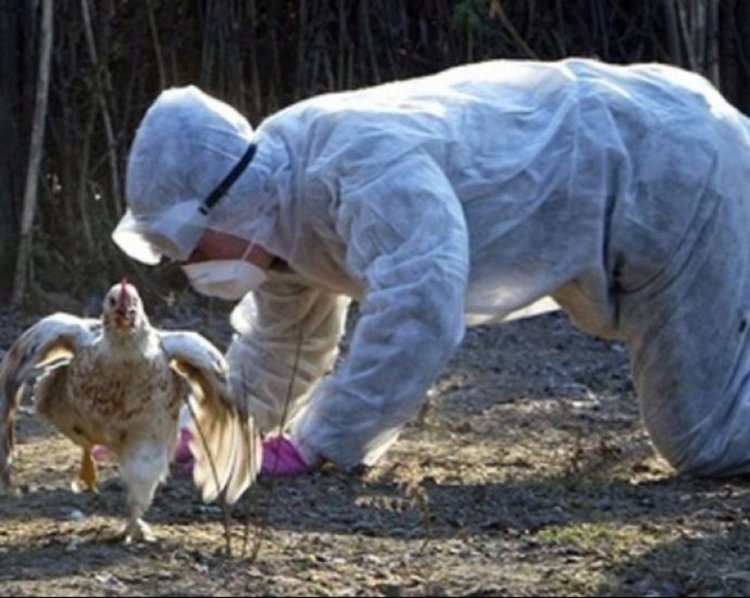 снимката е илюстративна, burgasinfo.com