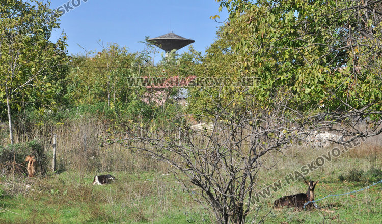 Хасковлии събират пари за частна канализация, писнало им да чакат