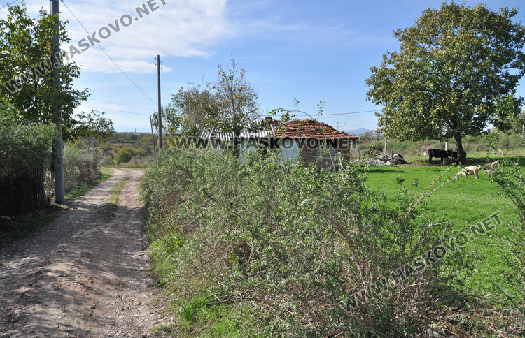 Хасковлии събират пари за частна канализация, писнало им да чакат