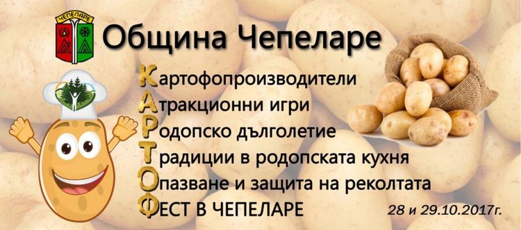 Има ли бъдеще за картофите в Родопите-търсят отговорите на празник на картофа в Чепеларе