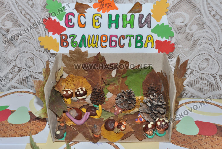 Таралежи и охлюви превърнаха забавачка в есенна гора