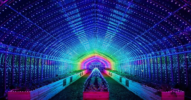 Цветна оранжерия предлага мултисетивно преживяване 