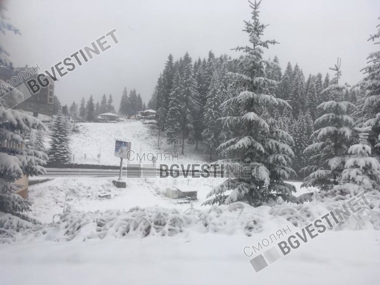 Първият сериозен сняг в събота показа, че почистването липсва, както в района на Пампорово, така и на прохода Превала