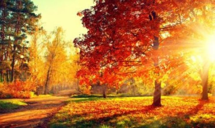 Слънце и по-високи температури днес